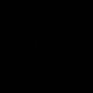 Meet your Posher, Susana